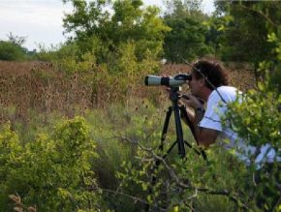 Safaris fotogr&aacute;ficos en Argentina