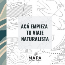 Una nueva forma de mirar los paisajes de las rutas Argentinas