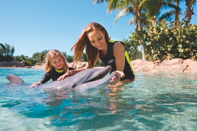 Por segundo a&ntilde;o consecutivo TripAdvisor honra a Discovery Cove como el mejor parque de diversiones