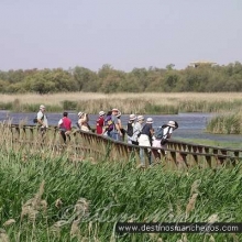 El parque nacional de las tablas de Daimiel ya tiene su propia app