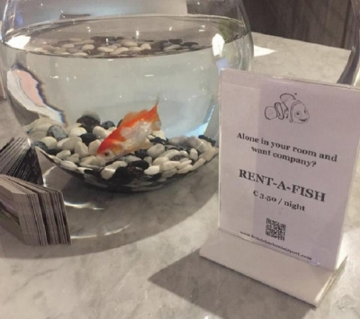 Un hotel belga alquila peces a sus clientes para que no se sientan solos