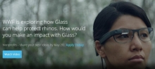 Usando Google Glass para proteger a los rinocerontes