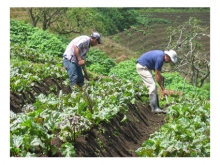 Espa&ntilde;a apoy&oacute; el desarrollo rural de Colombia
