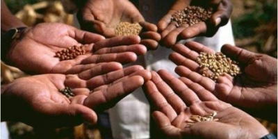 La mejor forma de frenar a Monsanto