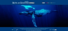 &ldquo;Ruta de Gigantes&rdquo; llega a Cali