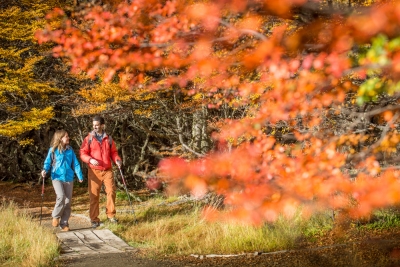 Ushuaia, 5 recomendaciones para disfrutar del Fin del Mundo