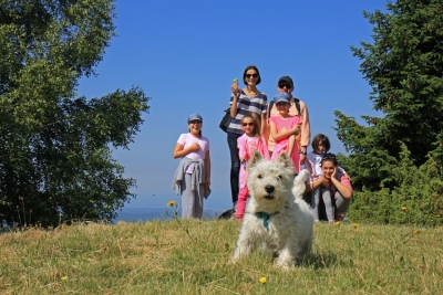 Vacacionar con mascotas, una tendencia en ascenso
