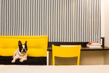 Hoteles ibis revolucionan la hoteler&iacute;a econ&oacute;mica y abren sus puertas para los perros