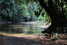 Nuqu&iacute; y Bah&iacute;a Solano, destinos con experiencias inolvidables