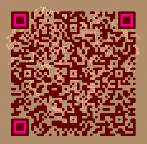 El potencial de los QR para las empresas y el Turismo