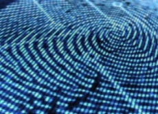 5 consejos para mejorar la ciberseguridad de los negocios