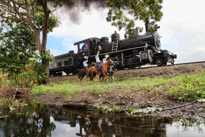 Cobra sentido el tren mas dif&iacute;cil de construir pero con verdaderos tapices naturales