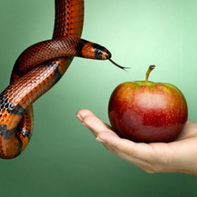 Los 7 pecados capitales que no se deben cometer en el marketing