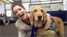 Aerol&iacute;nea usa equipo de perros para calmar a viajeros nerviosos