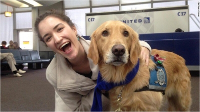 Aerol&iacute;nea usa equipo de perros para calmar a viajeros nerviosos