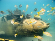 Aruba un mundo submarino por descubrir