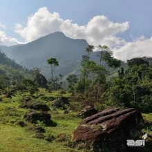 Plataforma chila  a favor de la sostenibilidad ambiental