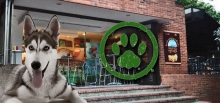 Los restaurantes que quieren a tu mascota