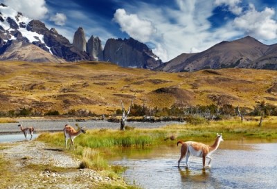 Chile gan&oacute; la sede de la cumbre mundial de turismo aventura 2015