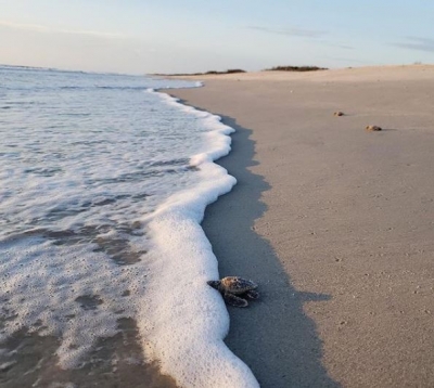 &iquest;So&ntilde;ando con ir de nuevo a la playa? Cinco lugares que debes conocer